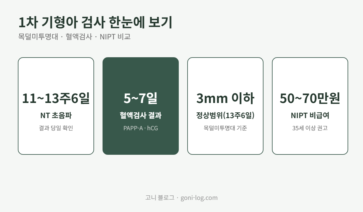 1차 기형아 검사 목덜미투명대 초음파 11주부터 13주6일, 혈액검사 결과 5일에서 7일 소요, NIPT 비급여 50만원부터 70만원, 정상범위 3mm 이하 정리 그래픽