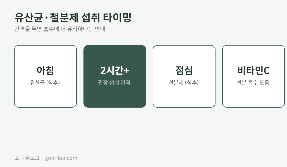 유산균 철분제 함께 먹는 방법, 아침 식후 유산균 점심 식후 철분제 최소 2시간 간격 비타민C 병행 권장