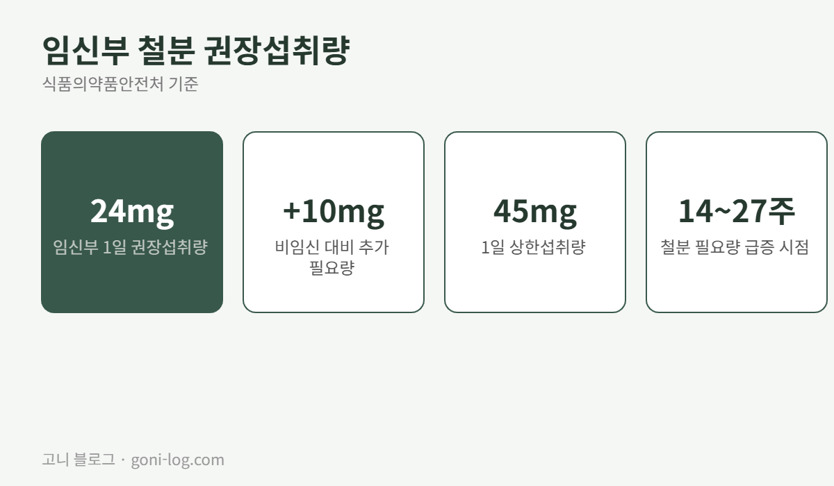 임신부 철분 권장섭취량 1일 24mg, 비임신 대비 10mg 추가, 상한섭취량 45mg, 임신 중기 14주부터 27주 사이 철분 필요량 급증