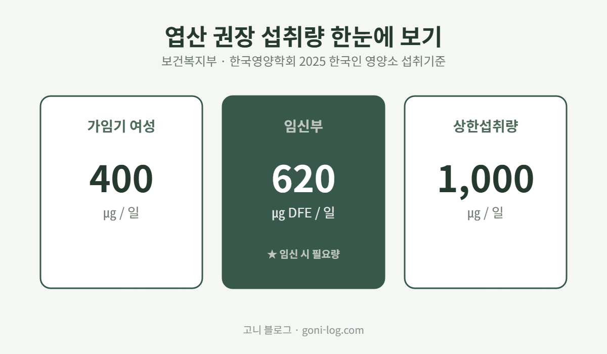 가임기 여성 400마이크로그램, 임신부 620마이크로그램 DFE, 상한섭취량 1000마이크로그램 엽산 권장 섭취량 비교 그래픽