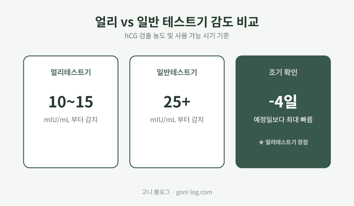 얼리테스트기 hCG 10에서 15 mIU/mL 감지, 일반테스트기 25 mIU/mL 이상 감지, 얼리테스트기가 예정일보다 최대 4일 빠른 확인 비교 그래픽
