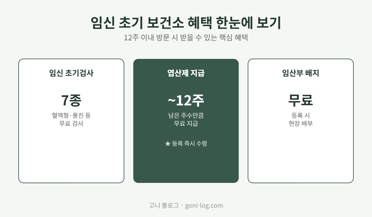 임신 초기 보건소 혜택 - 임신 초기검사, 엽산제 12주까지 지급, 임산부 배지 등록 시 무료 배부