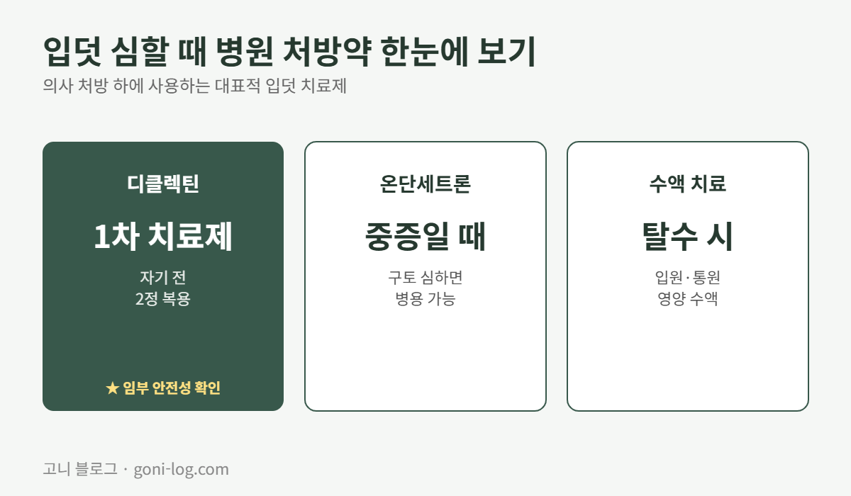임신 입덧이 심할 때 병원에서 처방하는 디클렉틴, 온단세트론, 수액 치료 등 대표 처방약 3가지를 정리한 인포그래픽