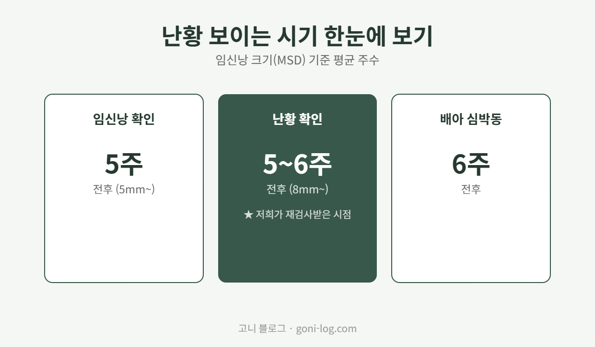임신 초기 난황 보이는 시기 - 임신낭 5주, 난황 5~6주(임신낭 8mm 이상), 배아 심박동 6주 기준 비교